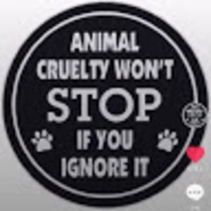 Meet your Posher, Fayelyn